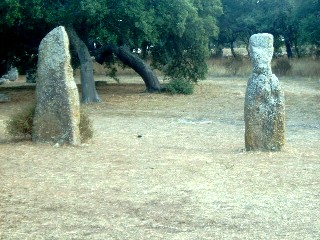 pranu matteddu uomo deamadre